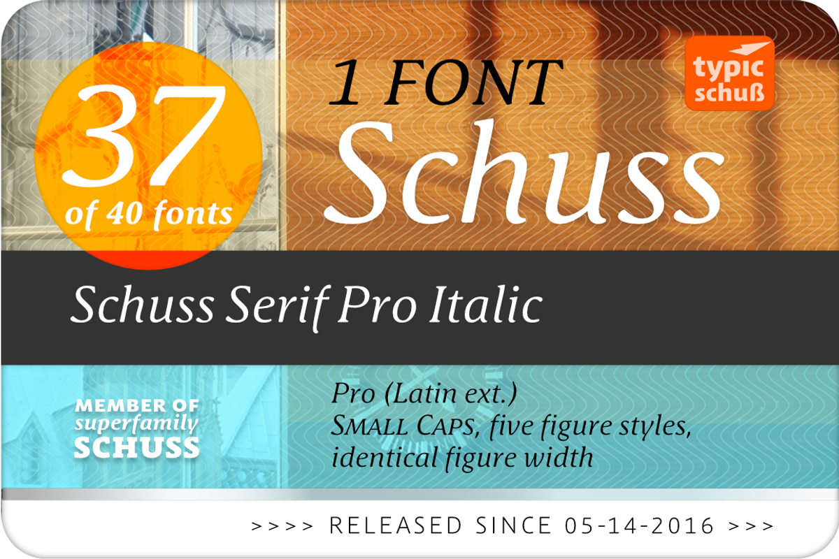 SchussSerifProIta No.37 (1 Font) preview 2