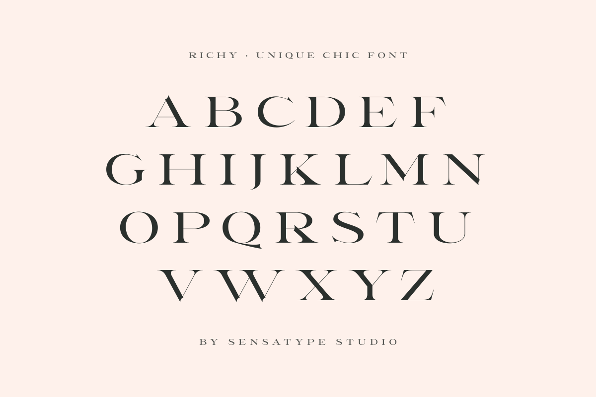 Richy - Unique Chic Font, a Serif Font by Sensatype (Photo 10 of 21)
