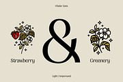 FIBULAR SANS - Variable Display Type, a Sans Serif Font by Artflorara (Thumbnail 20 of 23)