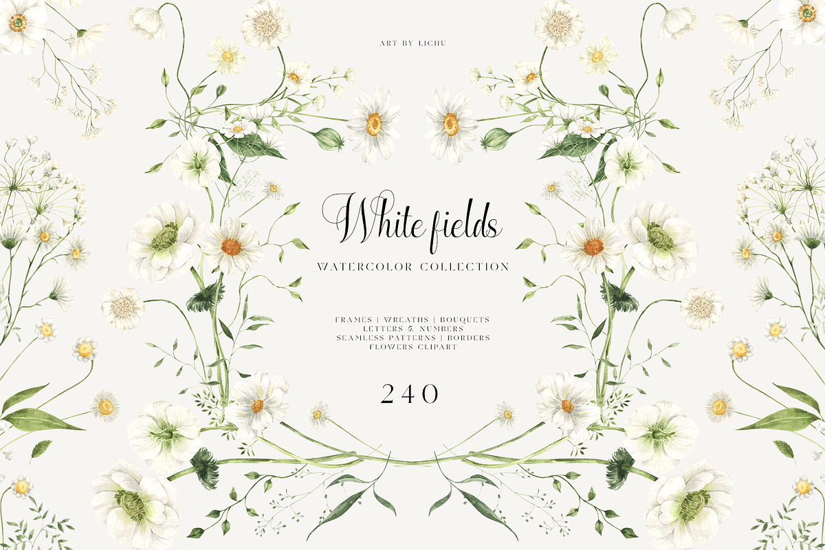 White Fields wildflowers flora, an Education Illustration by LiChu Art (Photo 1 of 12)