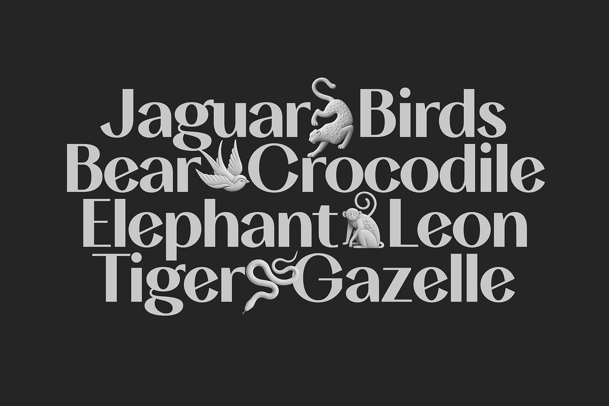 TA Solivare Variable, a Sans Serif Font by TAFT Foundry (Photo 1 of 15)