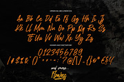 Flowess - Brush Font, a Handwritten Font by Gassstype (Thumbnail 6 of 9)
