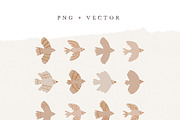 BIRDS BOHO BEIGE / vector & png, an Illustration by KruthDesign (Thumbnail 2 of 7)
