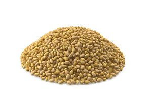 Coriander Seeds