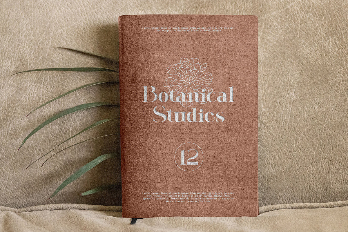 Gelmiro Elegant Serif Font, a Serif Font by Perfectype (Photo 7 of 8)