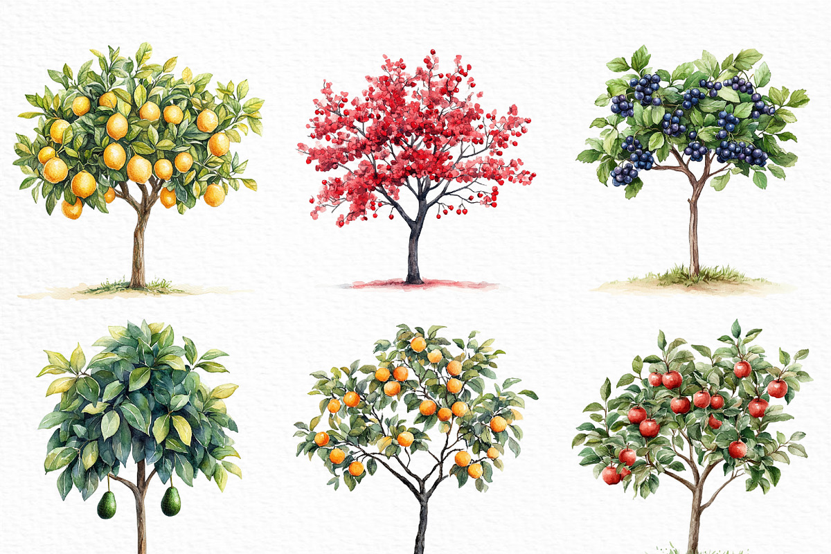 Watercolor Fruit Trees Clipart, an Illustration by Craft Nest (Photo 2 of 6)