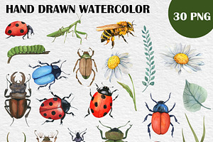 Watercolor Insect Bugs Clip Art