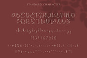 Cattus - Modern Casual Script Font, a Script Font by Craft Supply Co. (Thumbnail 9 of 11)