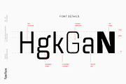 TT Lakes Neue Condensed, a Sans Serif Font by TypeType (Thumbnail 4 of 7)