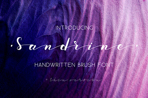 Sandrine Brush Font. Script.