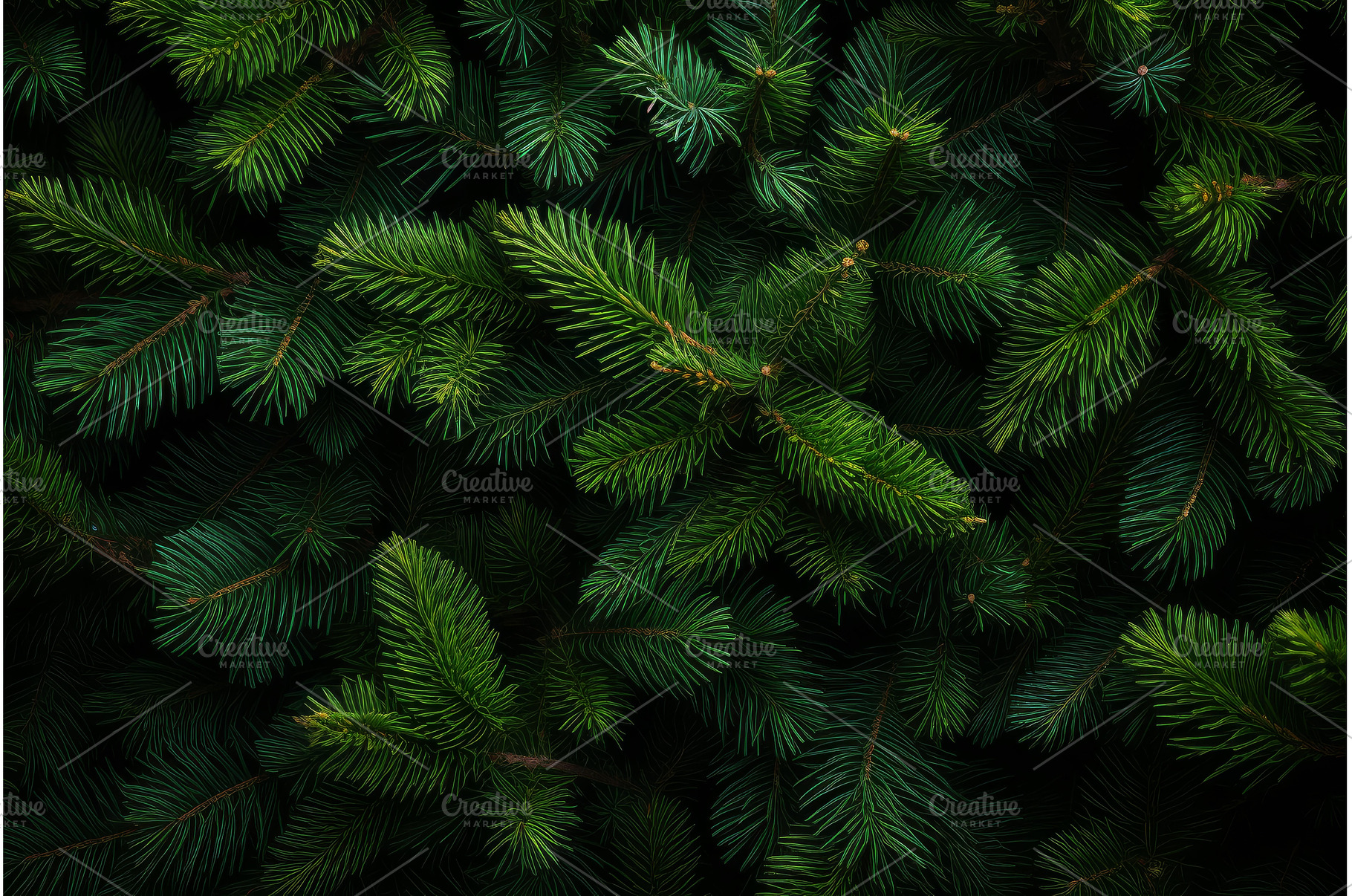 Background of christmas fir tree, a Nature Photo by Ylivdesign
