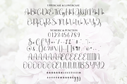 Blushing | Script Font, a Handwritten Font by Scratchones (Thumbnail 7 of 8)