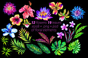 Aloha2 Tropical Kit, an Illustration by RosaPompelmo (Thumbnail 2 of 5)