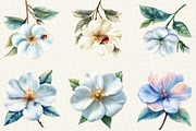 Jasmine Flower Bloom Clipart, an Illustration by OK Design (Thumbnail 4 of 5)