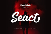 Seact, a Script Font by Runsell Studio (Thumbnail 1 of 7)