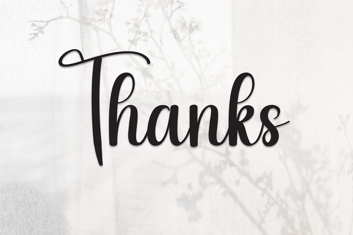 Bestina | Script Font, a Handwritten Font by Scratchones (Photo 9 of 9)