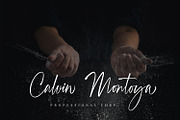 Westonia - Signature Font, a Script Font by Alpaprana (Thumbnail 9 of 19)