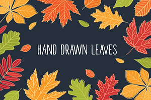 Hand drawn autumn leaves.