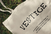 Vestige Gravestone Display Typeface, a Blackletter Font by Claire Wilde Designs (Thumbnail 3 of 7)