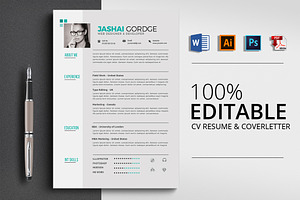 Clean Resume CV Word Format