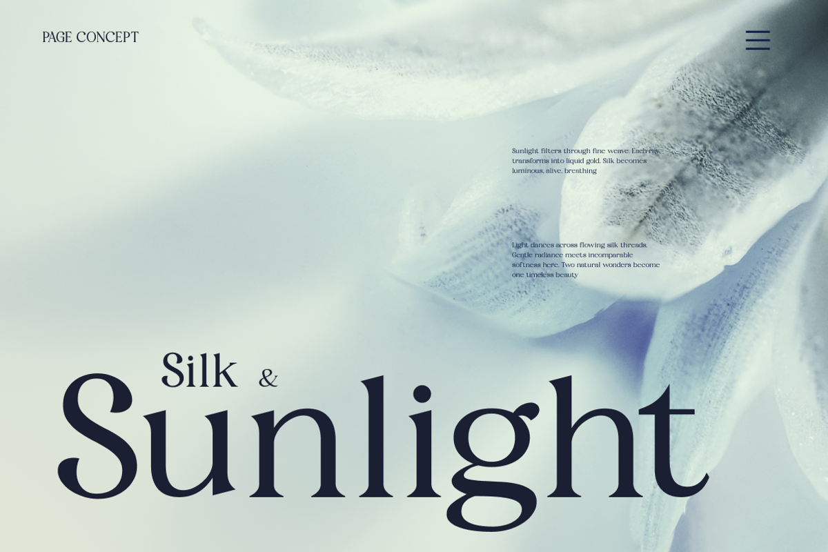 Fyorin Elegance Serif Font, a Serif Font by Rasio Studio (Photo 5 of 11)