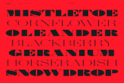Shomina Font, a Serif Font by Cuchi, qué Tipo! Foundry (Thumbnail 8 of 21)