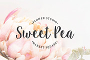 Sugar Plums Script, a Script Font by Emily Spadoni (Thumbnail 5 of 7)