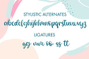 Dinglebarry Handwritten Script Font, a Handwritten Font by Freeling Design House (Thumbnail 3 of 6)