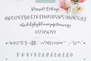 Roseroot Cottage Font Collection