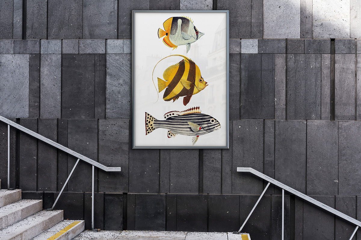 Vintage tropical fish illustrations, an Animal Illustration by Natalka Dmitrova art (Photo 5 of 12)