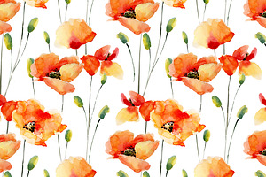 Watercolor Poppies.Flowers Set Bonus