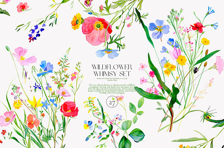 watercolor clipart png set, a Decorative Illustration by Patishop Art