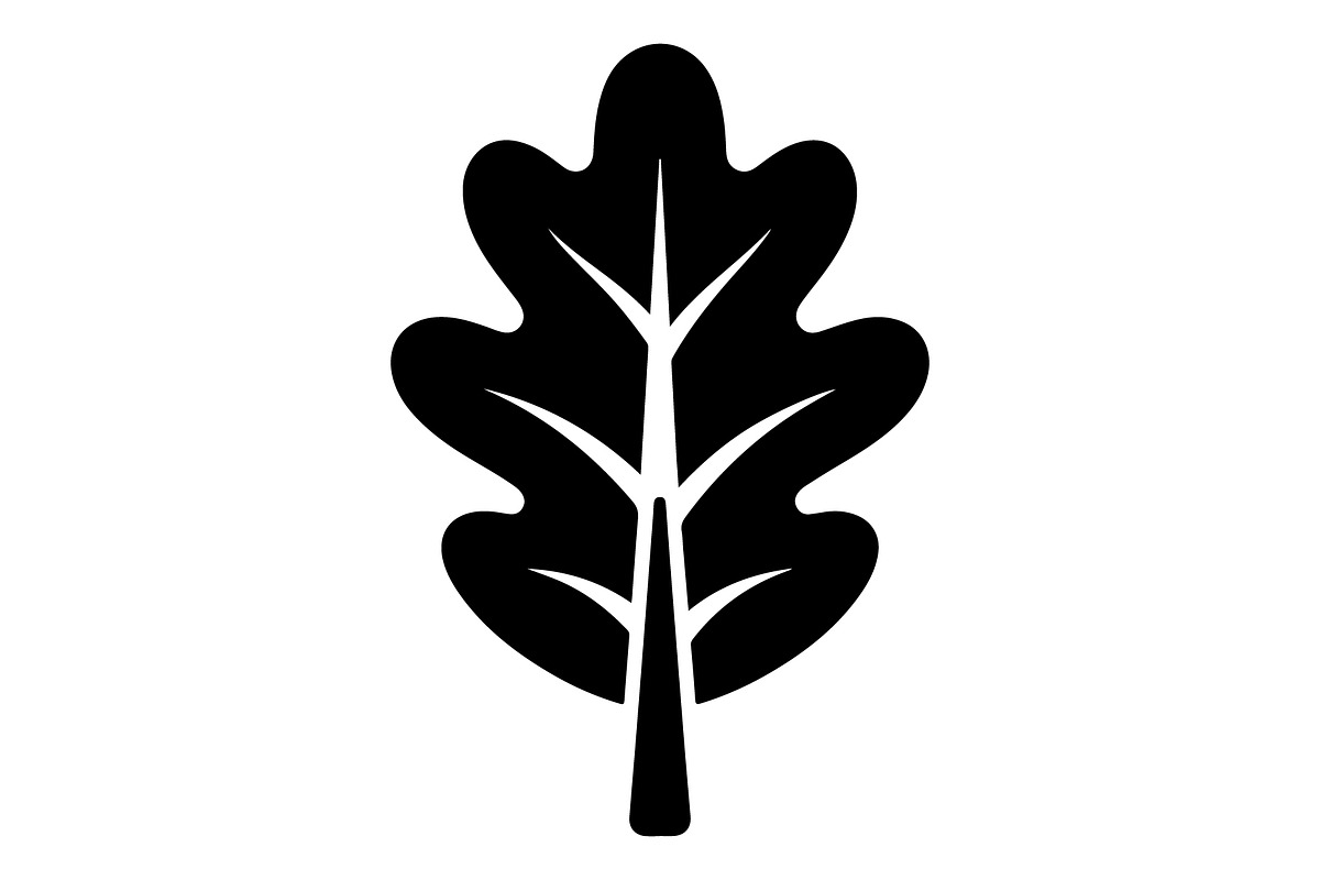 Maple Leaf Acorn Autumn, an Object Graphic by Gfx_Store (Photo 10 of 18)