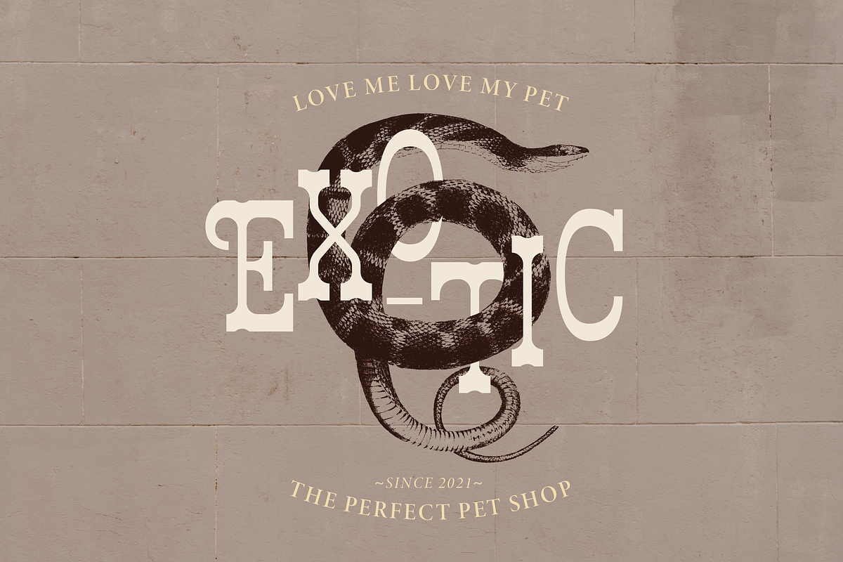 Erikoji | Retro Slab Serif, a Slab Serif Font by Denustudios (Photo 6 of 16)