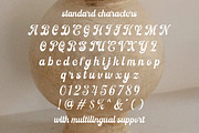 Nostern Script, a Script Font by Letterhend Studio (Thumbnail 8 of 10)