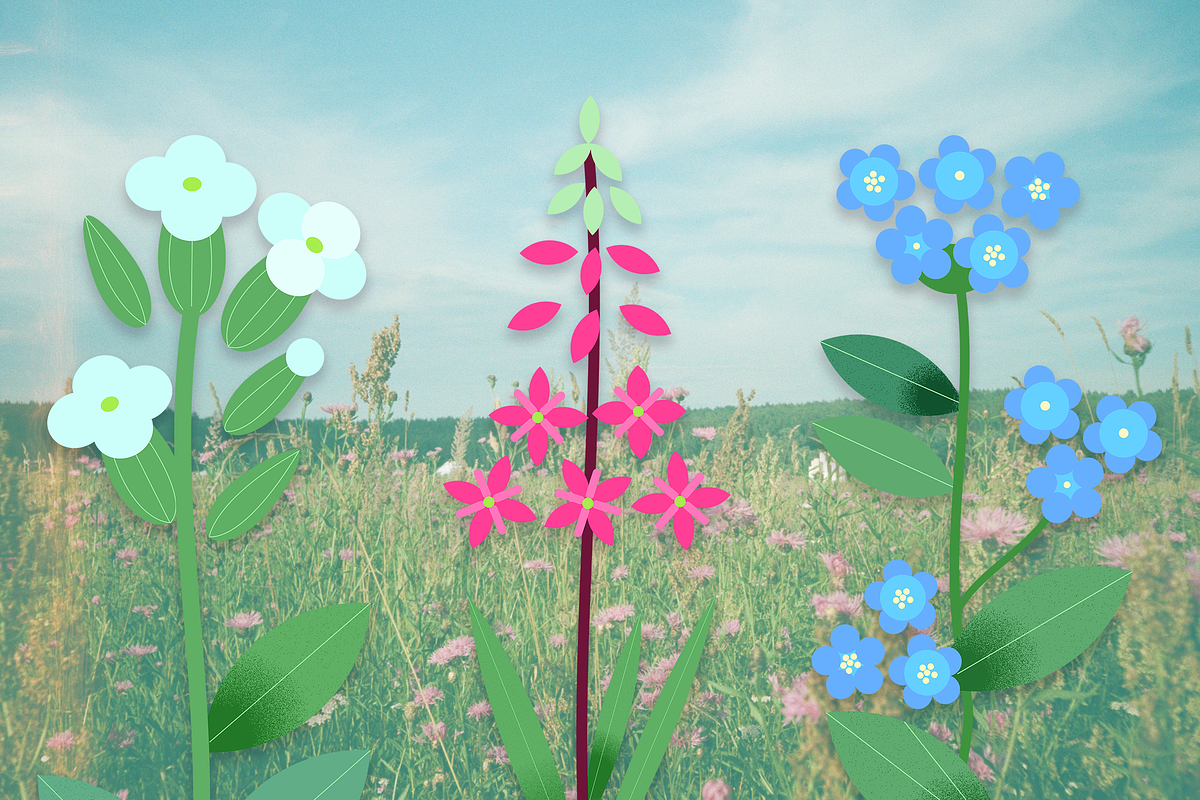 Summer flowers set – 87+ elements, a Decorative Illustration by Schumacher Shop (Photo 6 of 26)