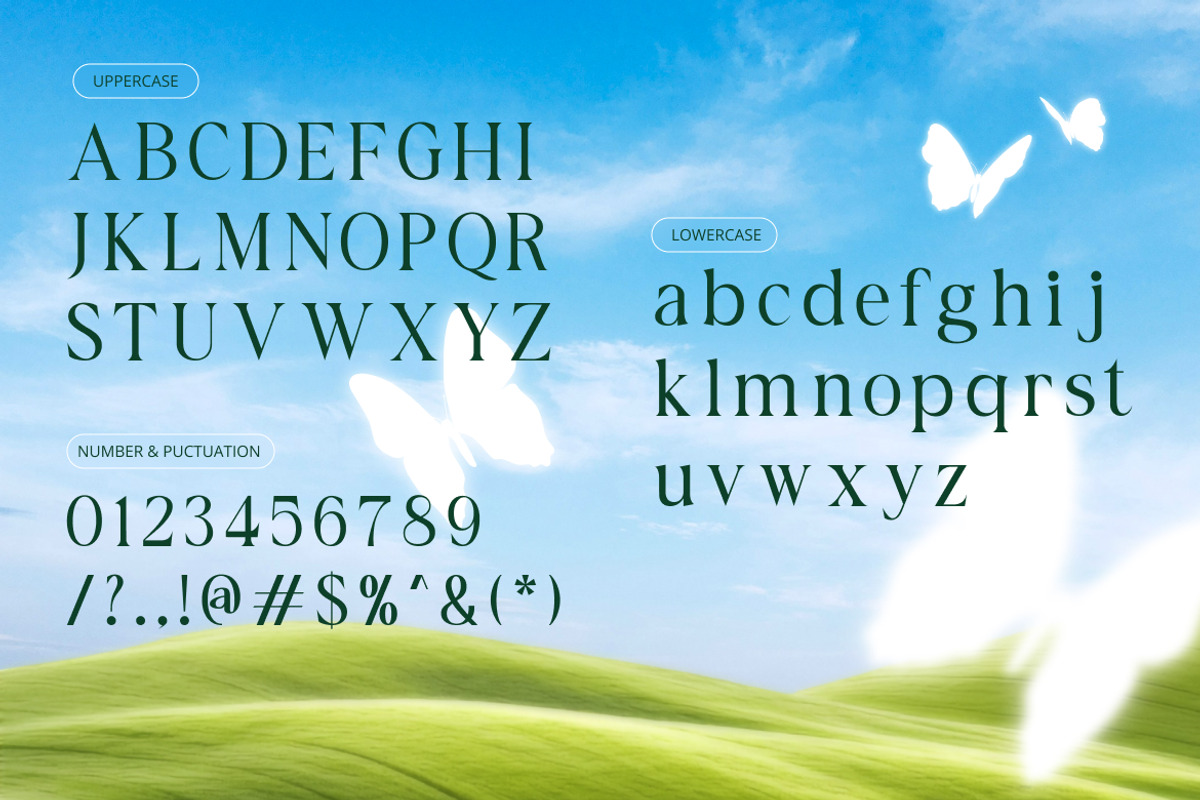 Haven Kindred Decorative Script Font, a Script Font by Vadovastd (Photo 2 of 7)