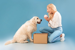 Excited young woman playing with dog holding ball, a Photo by Prostock-Studio