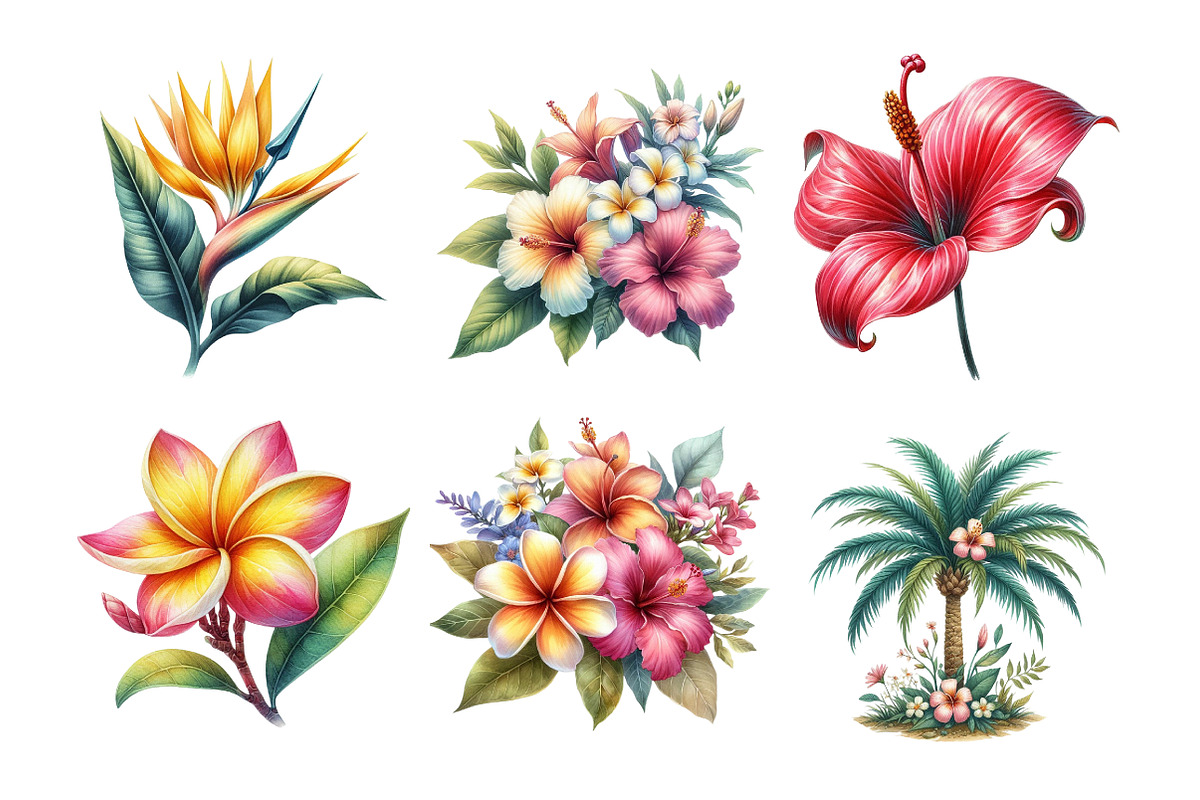 Watercolor Tropical Flower Bundle, an Illustration by Daily.Designs (Photo 2 of 5)