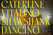 Golden Brown - Modern Serif Typeface, a Serif Font by Comactype Foundry (Thumbnail 3 of 20)