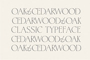 Cedarwood - Classy Serif, a Serif Font by Harmonais Visual (Thumbnail 3 of 19)