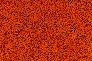 Red fabric material with short pile, an Abstract Photo by Alexander-Piragis