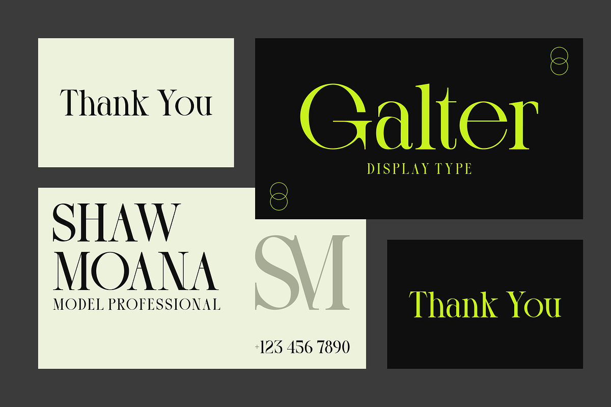 Galter - Modern Display Serif, a Serif Font by MaikoHatta (Photo 5 of 8)