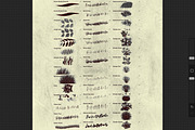 All about GRASS 42 brushes, a Brushes & More by Bluesssatan (Thumbnail 2 of 5)