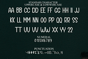 Always Loving, a Serif Font by FreshTypeINK (Thumbnail 4 of 8)