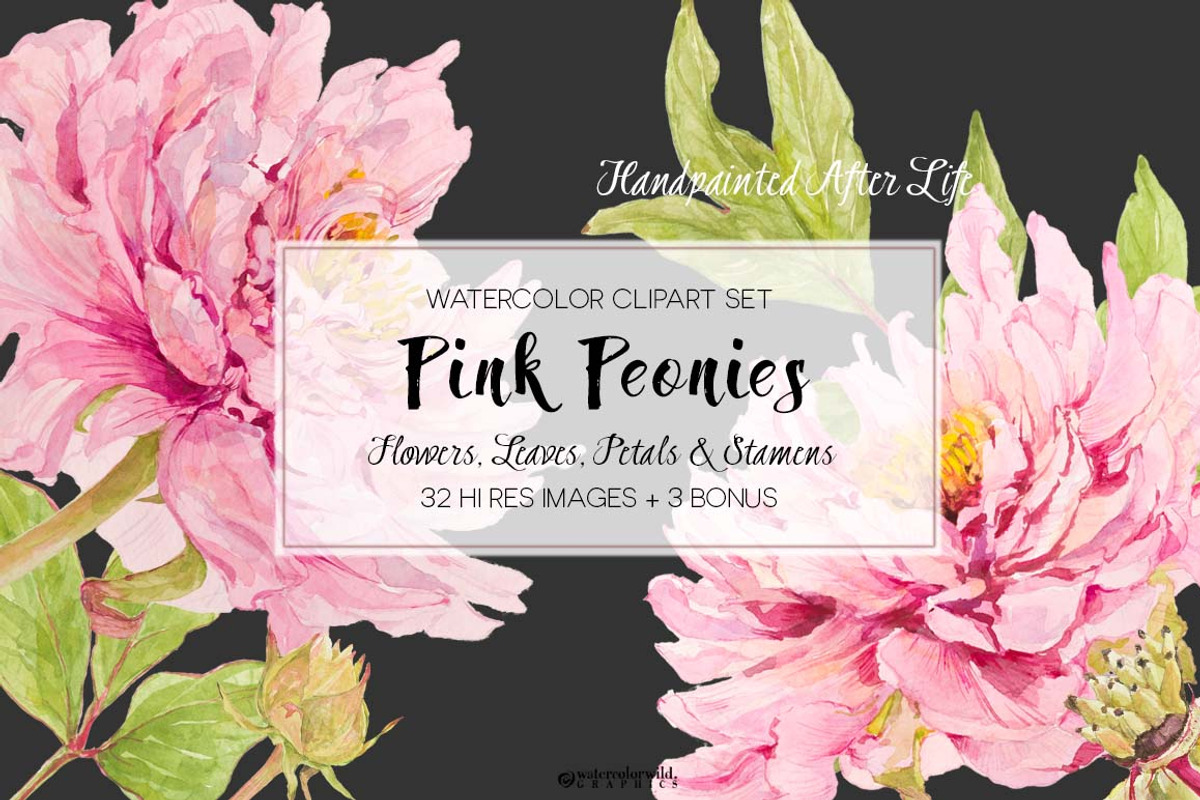 Pink Peonies-Clipart Set, an Illustration by watercolorwild.graphics (Photo 3 of 9)