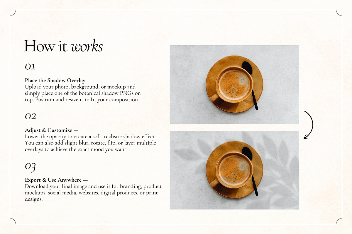 95 Plants & Flowers Shadow Overlays, an Object Graphic by Matisse Studio (Photo 9 of 9)