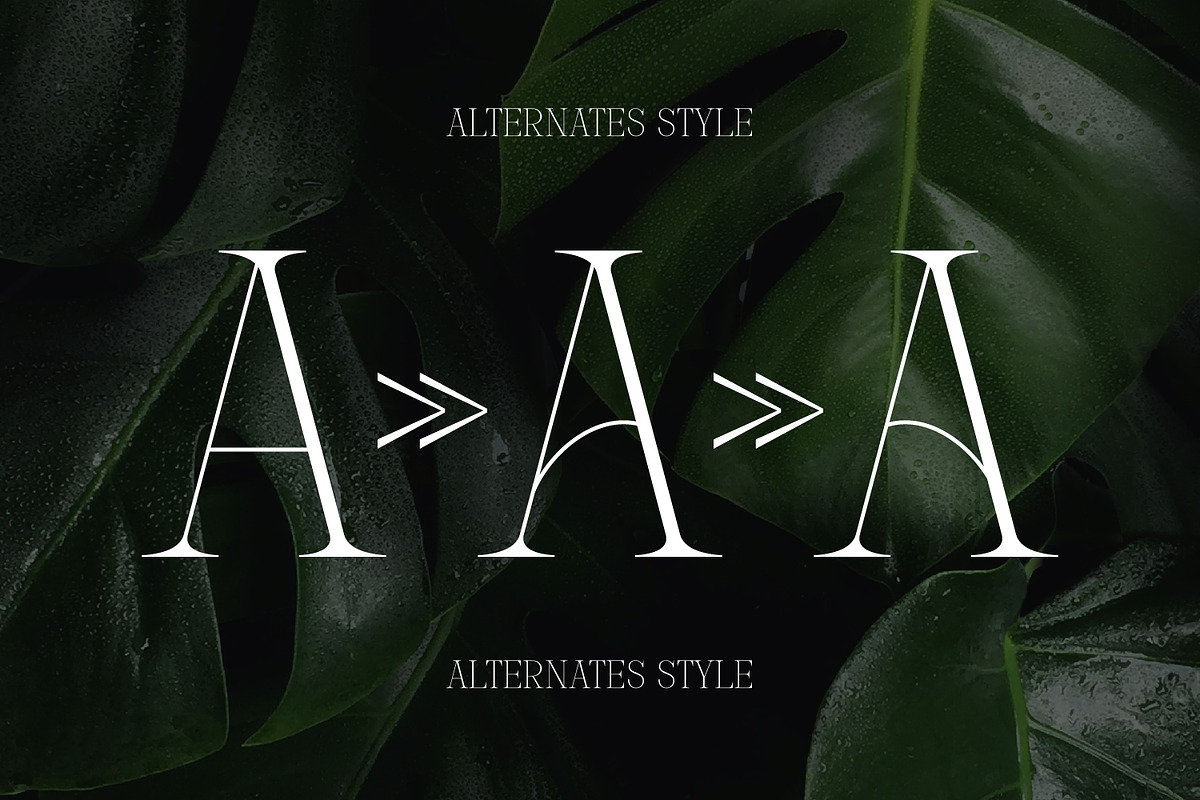 Mounchera - Art Deco Serif, a Serif Font by Variatype (Photo 10 of 14)