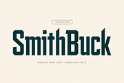 Smith Buck Modern Sans Serif, a Sans Serif Font by Storytype Studio (Thumbnail 1 of 15)