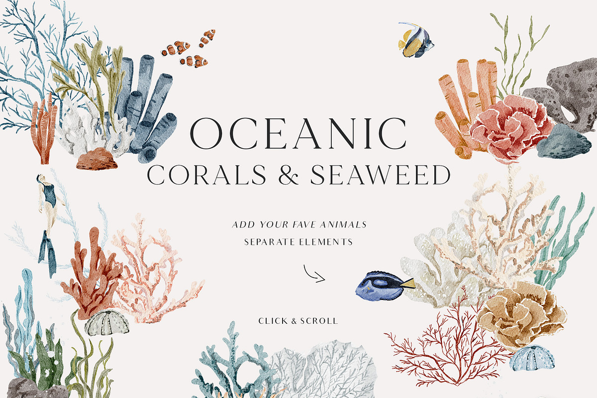OCEAN Undersea Coral reef animals, an Animal Illustration by Grace Noboa Illustrations (Photo 11 of 15)